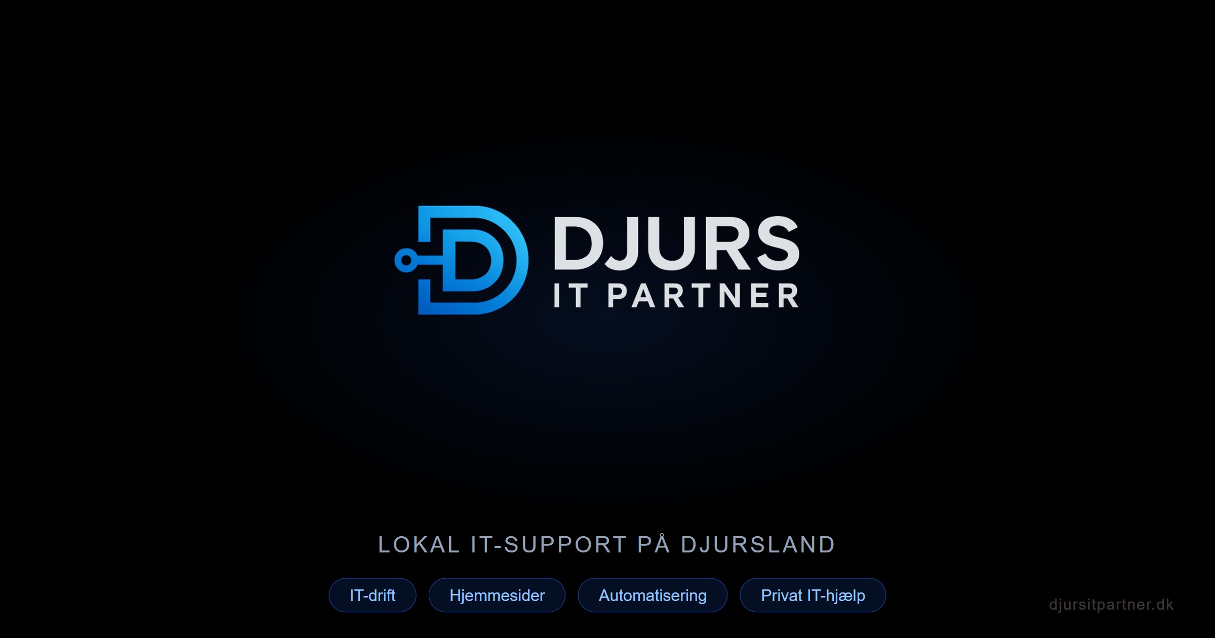 Djurs IT Partner logo